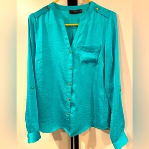 The Limited Blue Long Sleeve Buttoned Blouse
